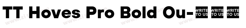TT Hoves Pro Bold Ou字体转换